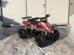 Квадроцикл RAPTOR 110 Квадроцикл RAPTOR 110