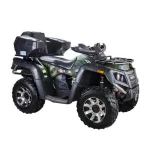WELS 300 ATV 4×4