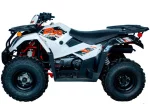Квадрицикл KAYO AU300 EFI (белый пластик 2024 г.)