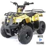 Квадроцикл MOTOLAND (МОТОЛЕНД) 110 RIDER Квадроцикл MOTOLAND (МОТОЛЕНД) 110 RIDER