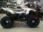 Квадроцикл STELS ATV 100RS Квадроцикл STELS ATV 100RS