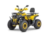 Квадроцикл DAZZLE ATV 200