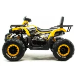 Квадроцикл MOTOLAND (МОТОЛЕНД) 200 WILD TRACK LUX A Квадроцикл MOTOLAND (МОТОЛЕНД) 200 WILD TRACK LUX A