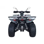 Квадроцикл Access AMX800 Long base