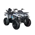 Квадроцикл Avantis Forester Long 200 Premium