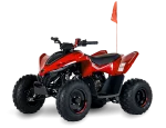 Квадроцикл CFMOTO CFORCE 110 EFI Квадроцикл CFMOTO CFORCE 110 EFI