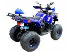 Квадроцикл (ATV) TERMIT LIBRE ATM Квадроцикл (ATV) TERMIT LIBRE ATM