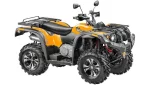 Квадроцикл STELS ATV 650 YS EFI LEOPARD