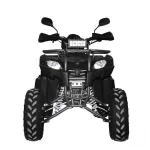 Квадроцикл Regulmoto XMR 200 Lux Квадроцикл Regulmoto XMR 200 Lux