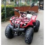 Электроквадроцикл Sherhan 1000X Электроквадроцикл Sherhan 1000X