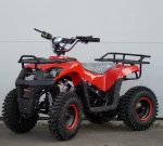 Электроквадроцикл Sherhan 300 Lite Электроквадроцикл Sherhan 300 Lite