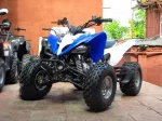 Квадроцикл Yamaha Raptor 125 replica Квадроцикл Yamaha Raptor 125 replica