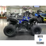 Квадроцикл IRIDE WOLF 200 Квадроцикл IRIDE WOLF 200