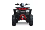 Квадроцикл Progasi RaceJumper MaxPower 200
