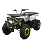 Квадроцикл AVANTIS HUNTER 200 NEW (БАЛАНС.ВАЛ) Квадроцикл AVANTIS HUNTER 200 NEW (БАЛАНС.ВАЛ)