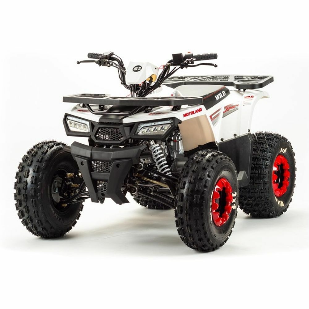 Квадроцикл MOTOLAND (МОТОЛЕНД) 125 WILD A