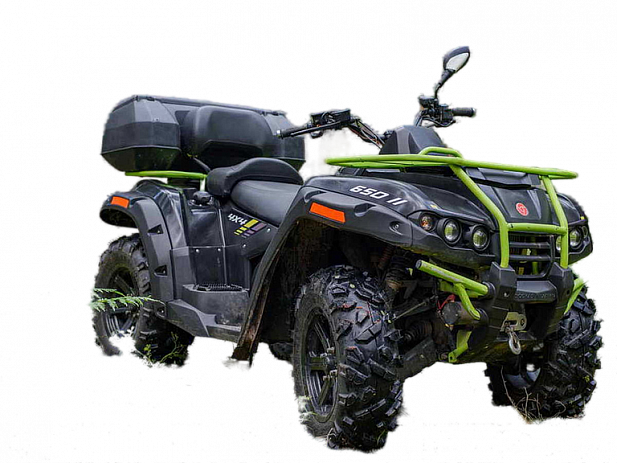 Электроквадроцикл ELIQ RM 650