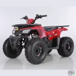Квадроцикл TAO MOTORS HUNTER 150 Квадроцикл TAO MOTORS HUNTER 150