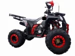 КВАДРОЦИКЛ RAPTOP DUX LUX 8 125CC 4Т КВАДРОЦИКЛ RAPTOP DUX LUX 8 125CC 4Т