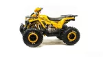 Квадроцикл MOTOLAND (МОТОЛЕНД) 125 WILD X Квадроцикл MOTOLAND (МОТОЛЕНД) 125 WILD X