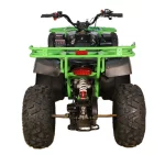 Квадроцикл Avantis Hunter 200 (баланс. вал) Квадроцикл Avantis Hunter 200 (баланс. вал)