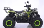 Квадроцикл YACOTA WARRIOR 200 Квадроцикл YACOTA WARRIOR 200