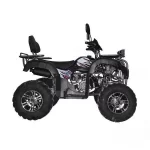 Квадроцикл Regulmoto XMR 200 Lux Квадроцикл Regulmoto XMR 200 Lux
