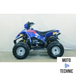 КВАДРОЦИКЛ LINHAI-YAMAHA Polar Fox