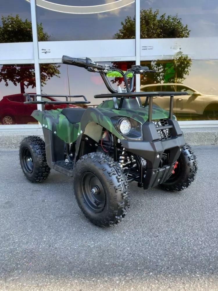 Электроквадроцикл Motorhead Claw