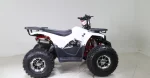 Квадроцикл Yamaha Raptor 150 replica Квадроцикл Yamaha Raptor 150 replica
