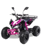 Квадроцикл бензиновый MOTAX ATV T-Rex LUX 125 cc Квадроцикл бензиновый MOTAX ATV T-Rex LUX 125 cc