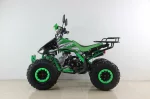 Квадроцикл бензиновый MOTAX ATV T-Rex Super LUX 125 cc Квадроцикл бензиновый MOTAX ATV T-Rex Super LUX 125 cc