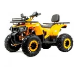 Квадроцикл MOTOLAND (МОТОЛЕНД) 200 WILD TRACK X WINCH (баланс. вал) (2022 г.) Квадроцикл MOTOLAND (МОТОЛЕНД) 200 WILD TRACK X WINCH (баланс. вал) (2022 г.)