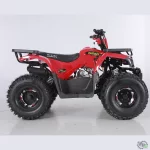 Квадроцикл TAO MOTORS HUNTER 150 Квадроцикл TAO MOTORS HUNTER 150