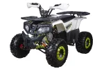 Квадроцикл YACOTA FUSION 125 Квадроцикл YACOTA FUSION 125