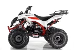 Квадроцикл бензиновый MOTAX ATV Raptor LUX 125 сс Квадроцикл бензиновый MOTAX ATV Raptor LUX 125 сс
