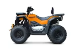 Квадроцикл Progasi RaceJumper MaxPower 200