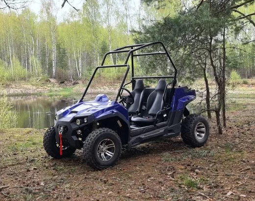 Электро багги Scanmoto RAPTOR