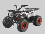 Квадроцикл TAO MOTORS HUNTER 125 cc Квадроцикл TAO MOTORS HUNTER 125 cc