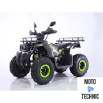 Квадроцикл TAO MOTORS REPTILE-200 (WARRIOR) Квадроцикл TAO MOTORS REPTILE-200 (WARRIOR)