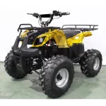 Электроквадроцикл Sherhan 1000 Электроквадроцикл Sherhan 1000