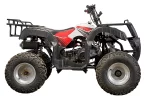Квадроцикл YACOTA SELA 200 Квадроцикл YACOTA SELA 200