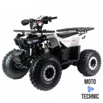 Квадроцикл MOTOLAND (МОТОЛЕНД) 125 STORM A Квадроцикл MOTOLAND (МОТОЛЕНД) 125 STORM A