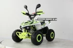 Подростковый квадроцикл Mikro А110 Подростковый квадроцикл Mikro А110