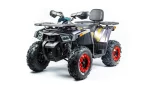 Квадроцикл BISON Shark 200 Квадроцикл BISON Shark 200