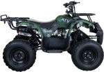 КВАДРОЦИКЛ RAPTOR 8 ATV125U CLASSIC 125CC 4Т КВАДРОЦИКЛ RAPTOR 8 ATV125U CLASSIC 125CC 4Т