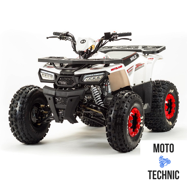 Квадроцикл MOTOLAND (МОТОЛЕНД) 125 WILD BASIC