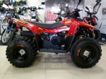 Квадроцикл STELS ATV 100RS Квадроцикл STELS ATV 100RS