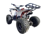 КВАДРОЦИКЛ RAPTOP R 8 125 КВАДРОЦИКЛ RAPTOP R 8 125