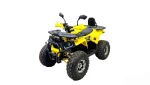 Квадроцикл Bison Fisher 125 Lux Квадроцикл Bison Fisher 125 Lux